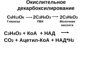 Окислительное декарбоксилирование С3Н4О3 + КоА + НАД СО2 + Ацетил-КоА + НАД*Н...