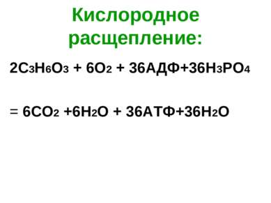Кислородное расщепление: 2С3Н6О3 + 6О2 + 36АДФ+36Н3РО4 = 6СО2 +6Н2О + 36АТФ+3...