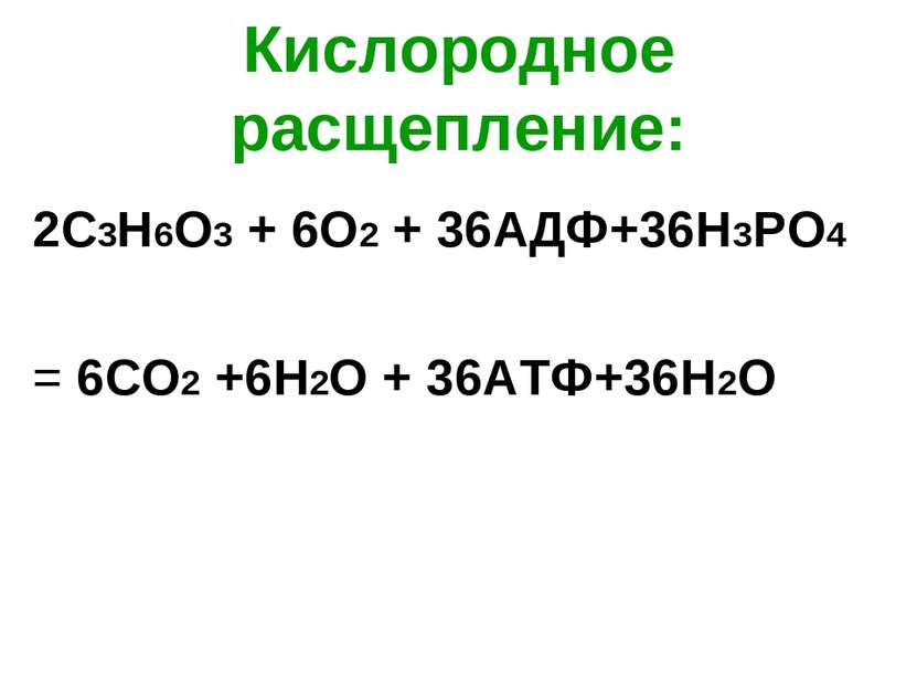 Кислородное расщепление: 2С3Н6О3 + 6О2 + 36АДФ+36Н3РО4 = 6СО2 +6Н2О + 36АТФ+3...
