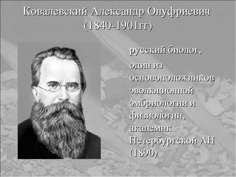 Ковалевский Александр Онуфриевич (1840-1901гг) русский биолог, один из осново...