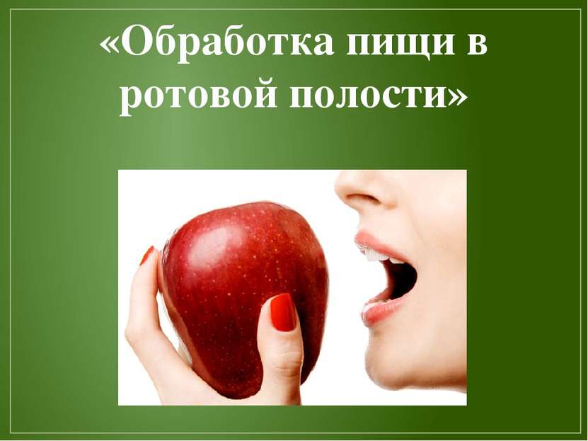 «Обработка пищи в ротовой полости»