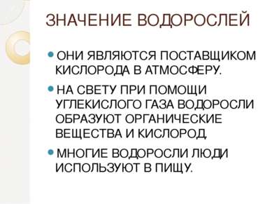 ЗНАЧЕНИЕ ВОДОРОСЛЕЙ ОНИ ЯВЛЯЮТСЯ ПОСТАВЩИКОМ КИСЛОРОДА В АТМОСФЕРУ. НА СВЕТУ ...