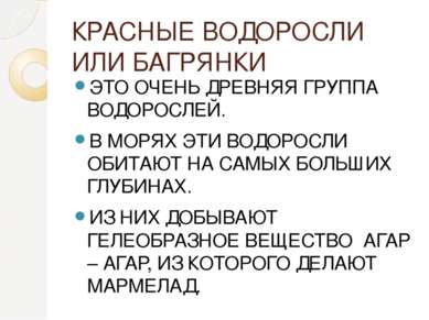 КРАСНЫЕ ВОДОРОСЛИ ИЛИ БАГРЯНКИ ЭТО ОЧЕНЬ ДРЕВНЯЯ ГРУППА ВОДОРОСЛЕЙ. В МОРЯХ Э...