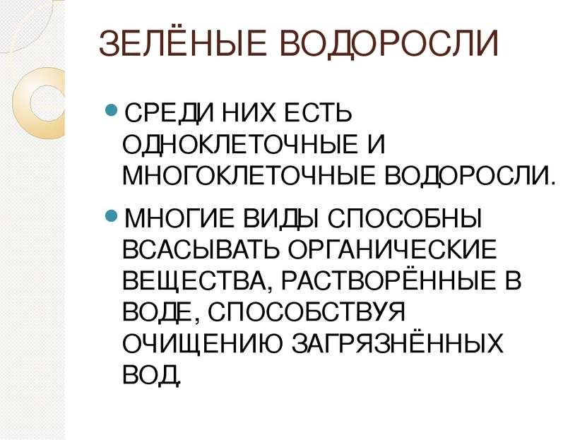 ЗЕЛЁНЫЕ ВОДОРОСЛИ СРЕДИ НИХ ЕСТЬ ОДНОКЛЕТОЧНЫЕ И МНОГОКЛЕТОЧНЫЕ ВОДОРОСЛИ. МН...