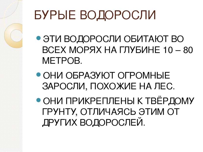 БУРЫЕ ВОДОРОСЛИ ЭТИ ВОДОРОСЛИ ОБИТАЮТ ВО ВСЕХ МОРЯХ НА ГЛУБИНЕ 10 – 80 МЕТРОВ...