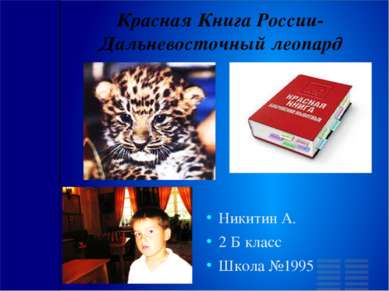 Красная Книга России- Дальневосточный леопард Никитин А. 2 Б класс Школа №1995