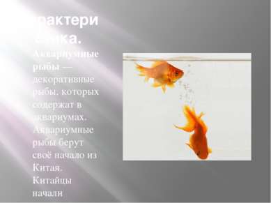 Характеристика. Аквариумные рыбы — декоративные рыбы, которых содержат в аква...