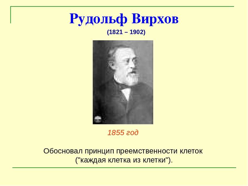 Рудольф Вирхов 1855 год Обосновал принцип преемственности клеток ("каждая кле...
