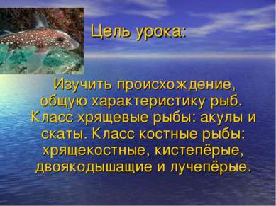 Цель урока: Изучить происхождение, общую характеристику рыб. Класс хрящевые р...