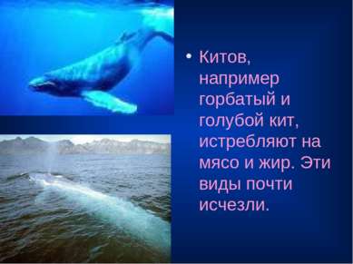 Китов, например горбатый и голубой кит, истребляют на мясо и жир. Эти виды по...