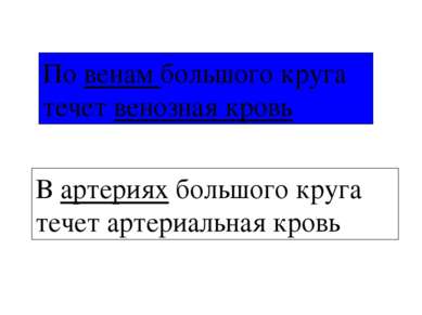 Большой круг кровообращения П.П П.Ж. Л.П. Л.Ж. Все органы артерия вена артери...