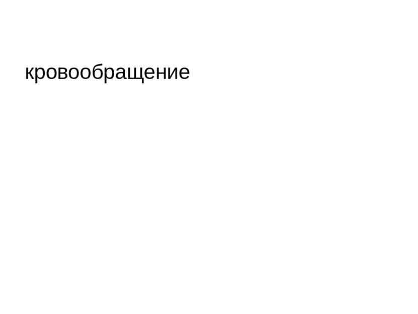 Малый круг кровообращения 1-правый желудочек, 2-легочная артерия, 3-ветви лег...