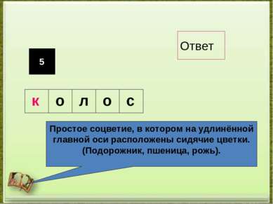 5 Простое соцветие, в котором на удлинённой главной оси расположены сидячие ц...