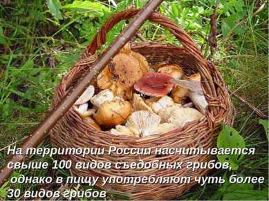 На территории России насчитывается свыше 100 видов съедобных грибов, однако в...