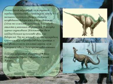 Долгое время гадрозавров, из-за строения передних конечностей с перепонками м...