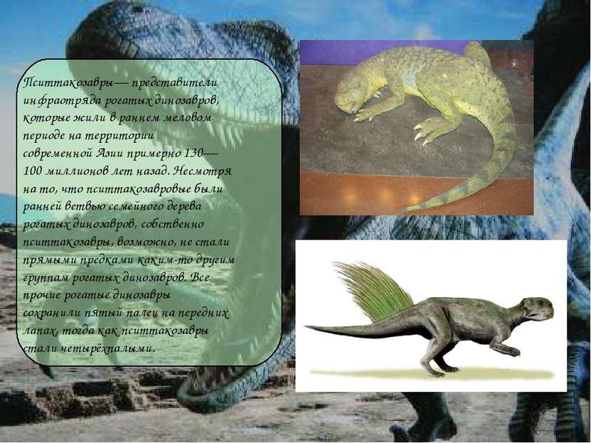 Пситтакозавры— представители инфраотряда рогатых динозавров, которые жили в р...