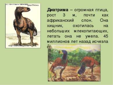 Диатрима – огромная птица, рост 3 м, почти как африканский слон. Она хищник, ...
