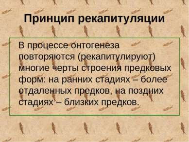 Принцип рекапитуляции В процессе онтогенеза повторяются (рекапитулируют) мног...