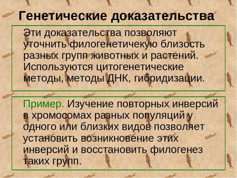 Генетические доказательства Эти доказательства позволяют уточнить филогенетич...