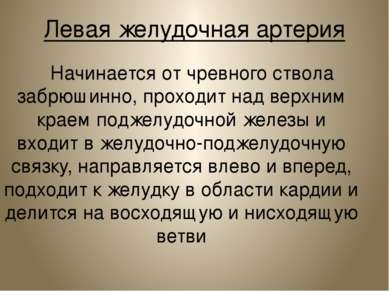 Левая желудочная артерия Начинается от чревного ствола забрюшинно, проходит н...