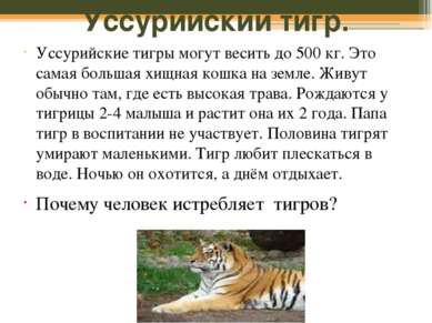 Уссурийский тигр. Уссурийские тигры могут весить до 500 кг. Это самая большая...