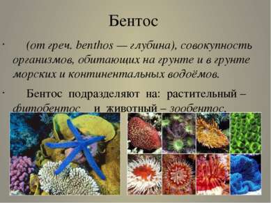 Бентос (от греч. benthos — глубина), совокупность организмов, обитающих на гр...