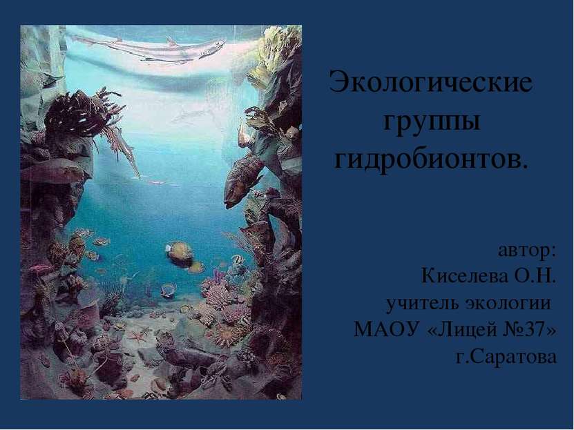 Экологические группы гидробионтов. автор: Киселева О.Н. учитель экологии МАОУ...