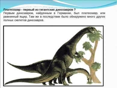Платеозавр - первый из гигантских динозавров ? Первым динозавром, найденным в...