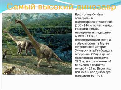 Брахиозавр Он был обнаружен в позднеюрских отложениях (150 - 144 млн. лет наз...