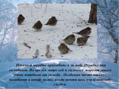 Птицам трудно приходится зимой. Нередко они голодают. Во время метелей и силь...