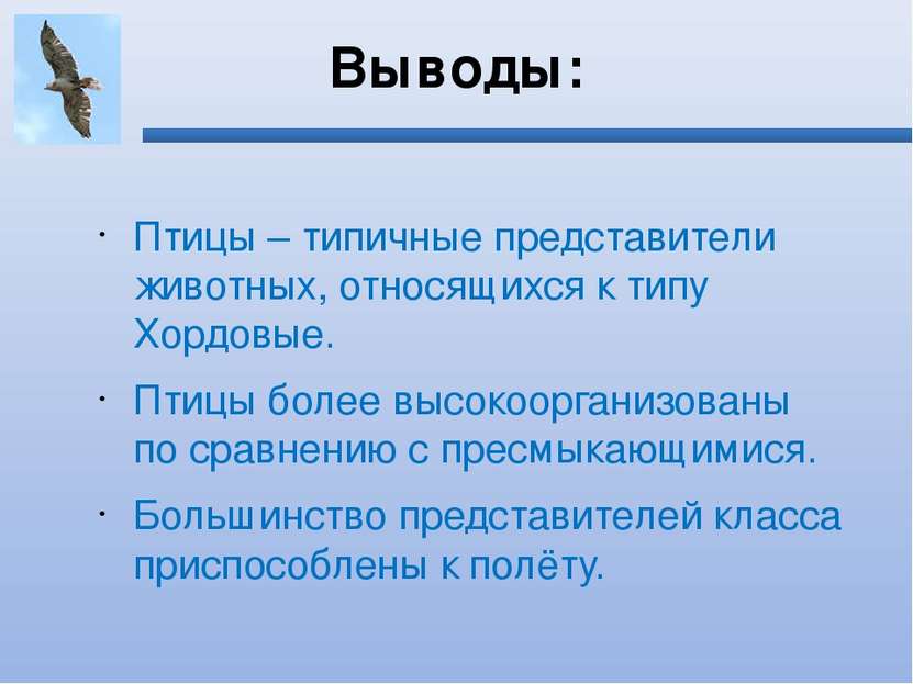 Выводы: Птицы – типичные представители животных, относящихся к типу Хордовые....