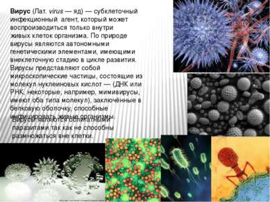 Вирус (Лат. virus — яд) — субклеточный инфекционный  агент, который может вос...