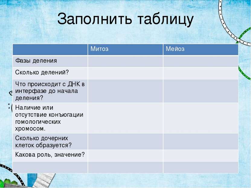 Заполнить таблицу Митоз Мейоз Фазы деления Сколько делений? Что происходит с ...