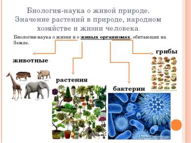 Биология-наука о живой природе. Значение растений в природе, народном хозяйст...