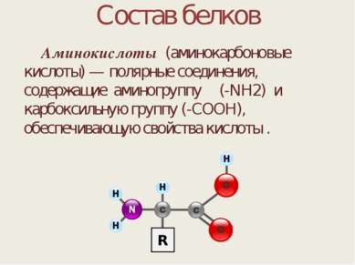 Состав белков Аминокислоты (аминокарбоновые кислоты) — полярные соединения, с...