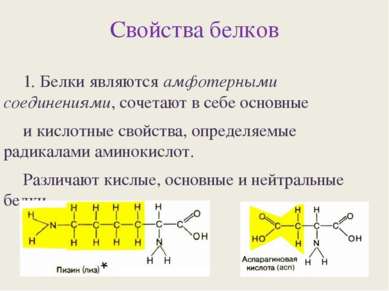 Свойства белков 1. Белки являются амфотерными соединениями, сочетают в себе о...
