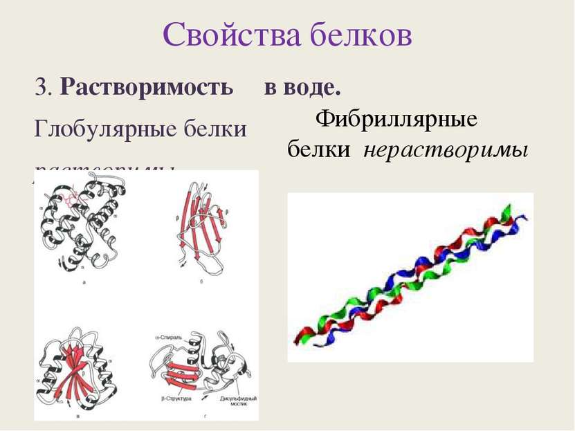 Фибриллярные подергивания мышц. Фибриллярные белки характеристика. Растворимость белков. Белки растворимы в воде. Свойства белков схема.