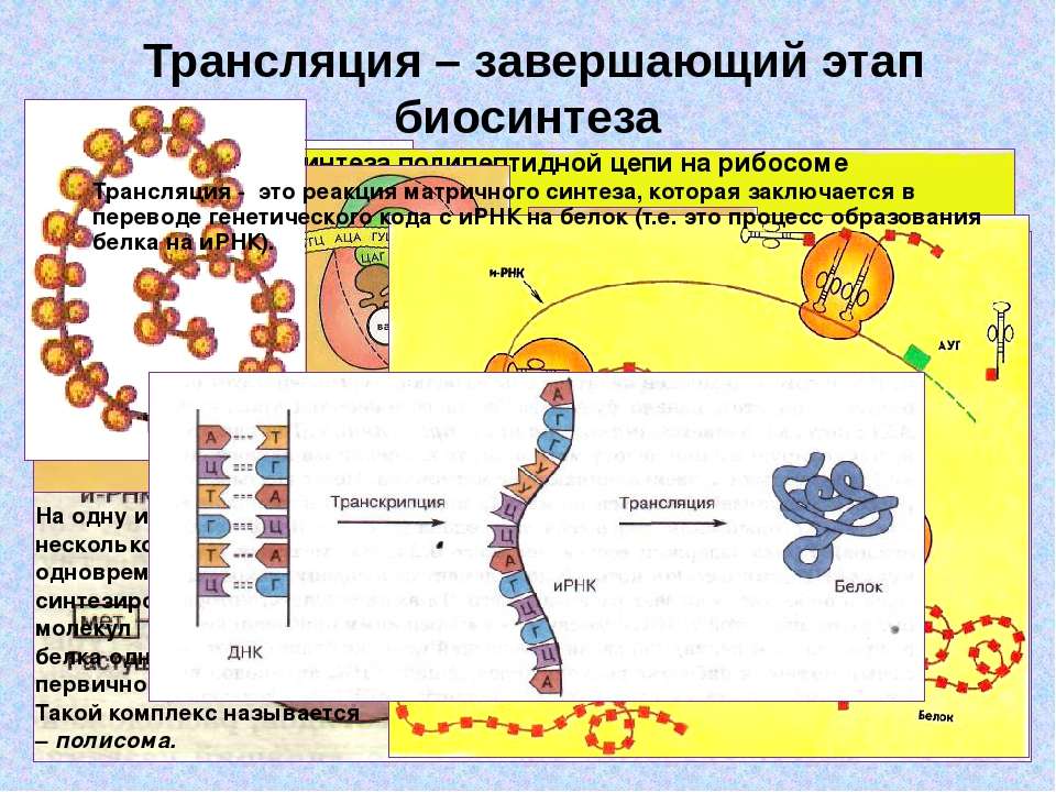 На каком участке диаграммы происходит эвтектоидная реакция