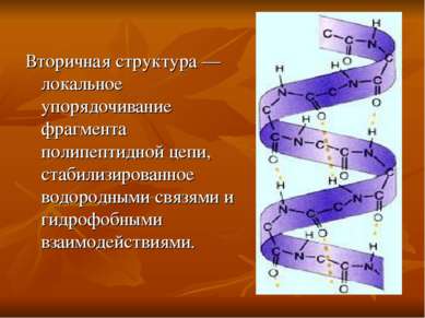 Вторичная структура — локальное упорядочивание фрагмента полипептидной цепи, ...