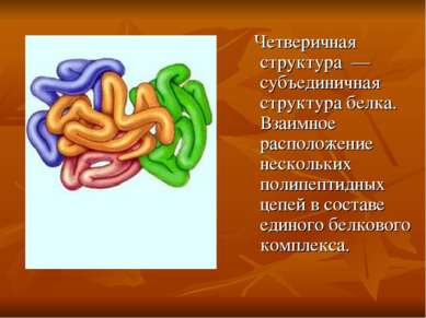 Четверичная структура — субъединичная структура белка. Взаимное расположение ...
