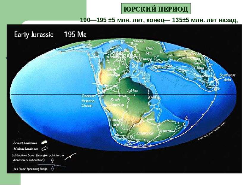 ЮРСКИЙ ПЕРИОД 190—195 ±5 млн. лет, конец— 135±5 млн. лет назад,