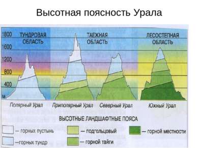 Высотная поясность Урала