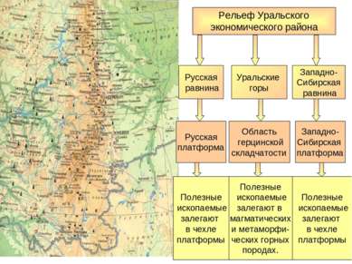 Рельеф Уральского экономического района Русская равнина Западно- Сибирская ра...