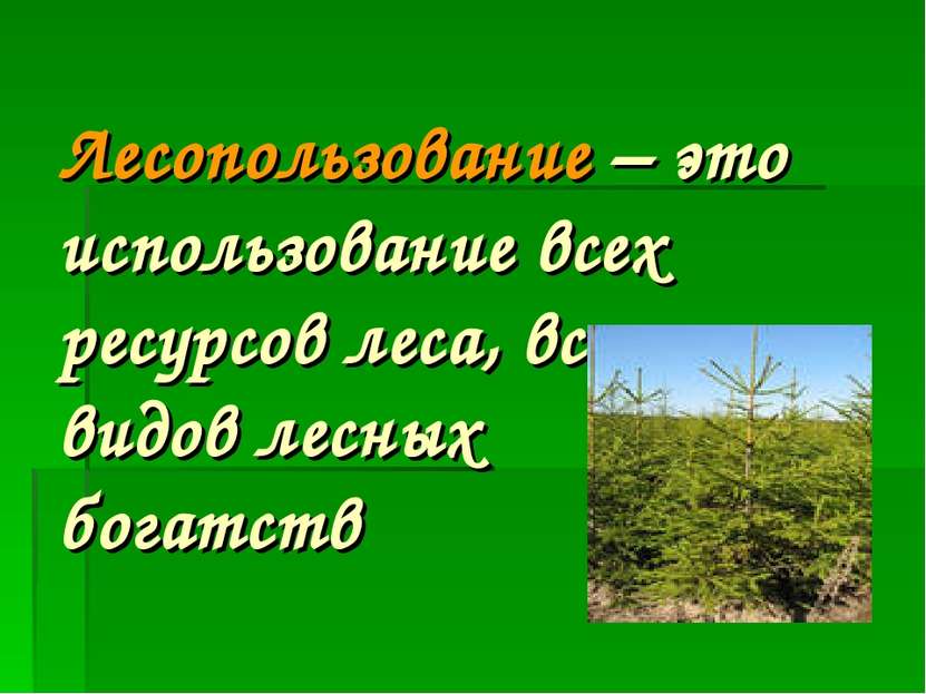 Лесопользование – это использование всех ресурсов леса, всех видов лесных бог...