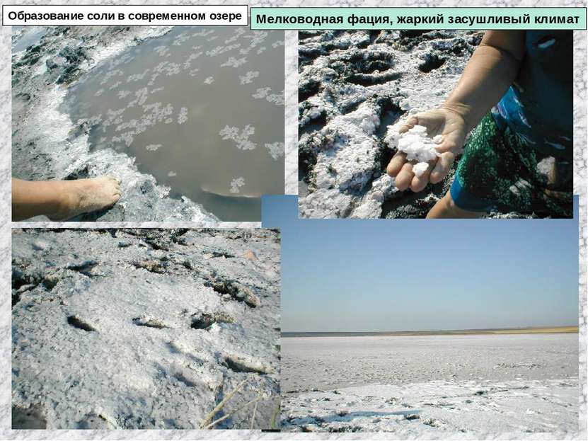 Образование соли в современном озере Мелководная фация, жаркий засушливый климат