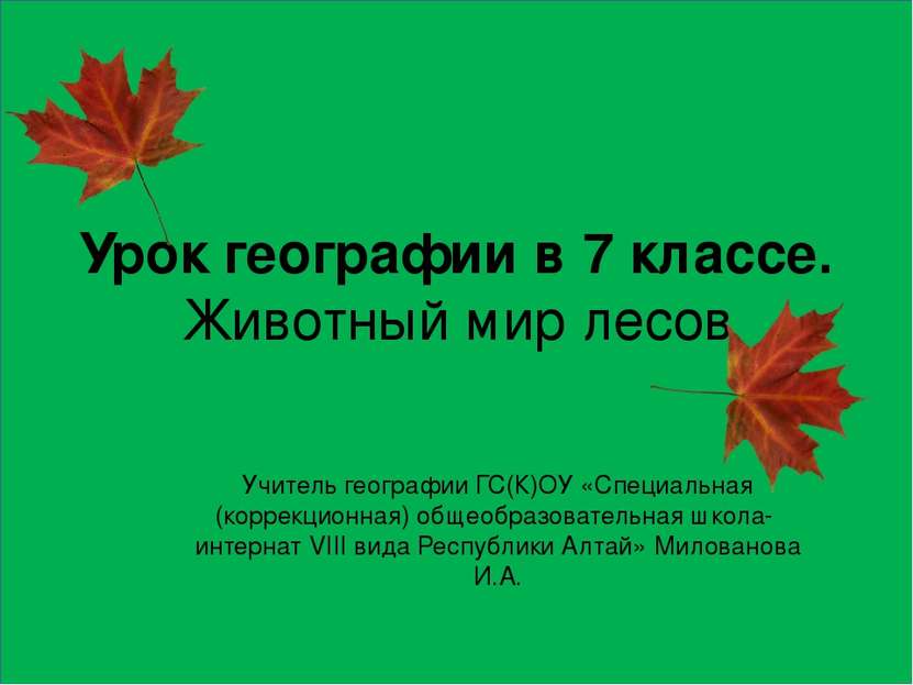 Урок географии в 7 классе. Животный мир лесов Учитель географии ГС(К)ОУ «Спец...