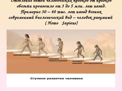 Отделение ветви человеческих предков от предков обезьян произошло от 3 до 5 м...