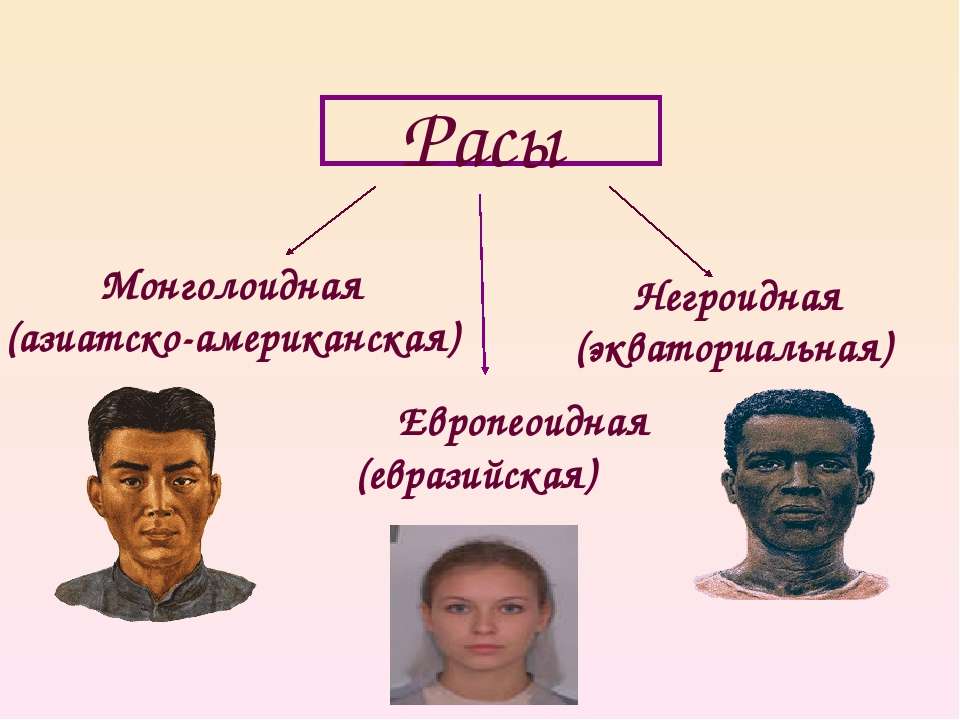 Расы человека количество. Монголоидная (Азиатско-американская) раса. Люди европеоидной и монголоидной расы. Европеоидная монголоидная негроидная раса. Человеческие расы.