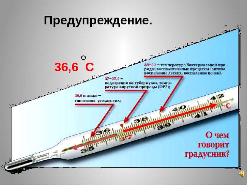 Предупреждение. 36,6 С