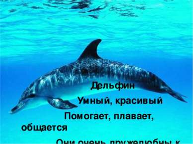 Дельфин Умный, красивый Помогает, плавает, общается Они очень дружелюбны к лю...